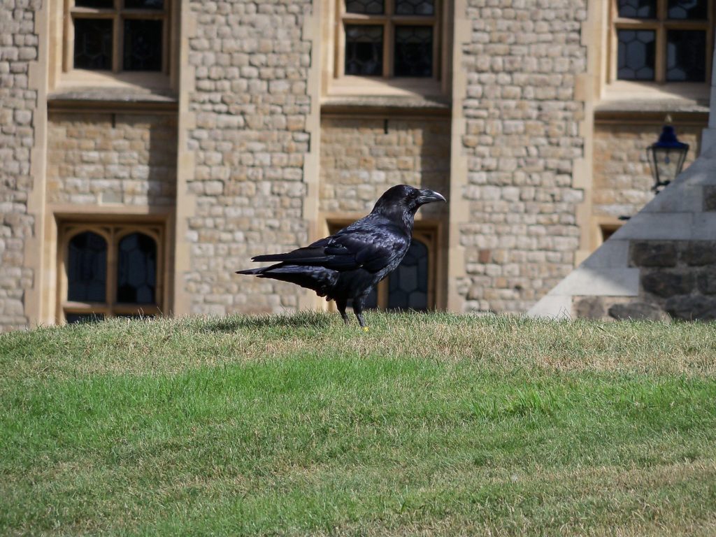 10 things you did not know about the Tower of London