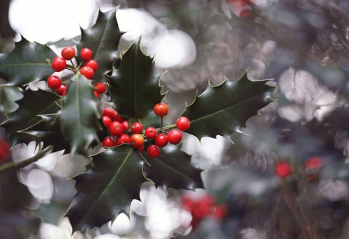 Tudor Christmas: How Henry VIII. celebrated Christmas
